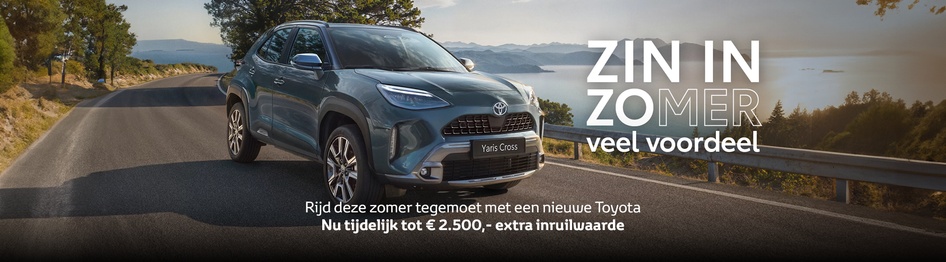 Dealersite Homepage Zin in Zomer